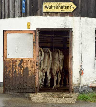 Im Ortsteil Brunnen geht es nach Waltenhofen (Schwangau 2018)