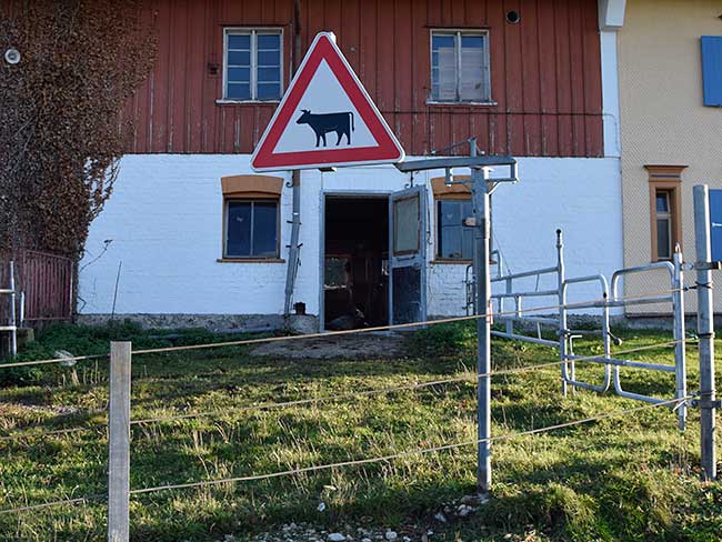 Drehbares Schild "Vorsicht Viehtrieb" in Schweineburg (Gestratz)