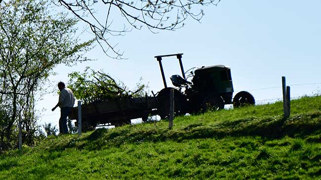 Heimenkirch 2016 - Handarbeit - Mähen. Aufladen, Transport, Füttern und dass mit 80 Jahren