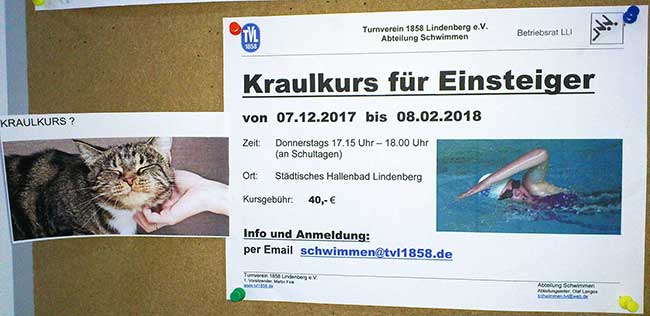 diesen Kraulkurs (für Schwimmer eigentlich) hat ein Witzbold für Katzen erweitert im Hallenbad Lindenberg im Allgäu