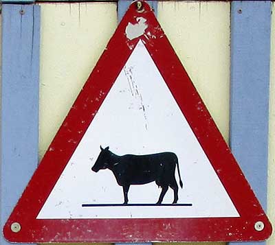 Verkehrszeichen - Achtung Kühe - Vor 1970 Scheidegg 2018