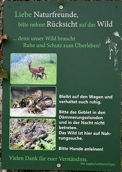 Weit und breit keine größere Waldstücke, trotzdem braucht das Wild in der Dämmerung und Nachts auf den Wiesen seine Ruhe und Enten gibt schon gar nicht hier