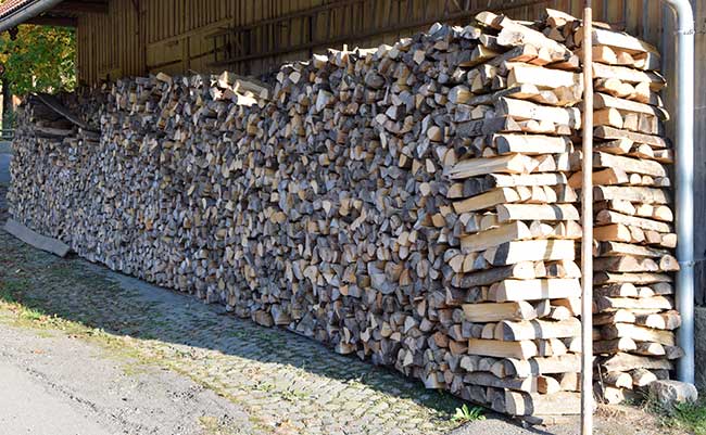 Viel Holz vor der Hütte in Wangen Jussenweiler 2018