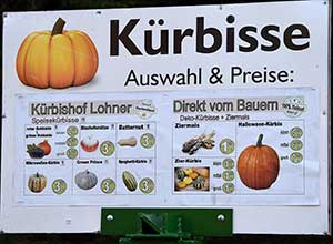 Kurbispreise im Direktverkauf zwischen 3 und 7  Euro