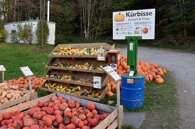 Kürbis Direktverkauf im Allgäu an vielen Stllen.Hier ein Beispiel aus Wangen