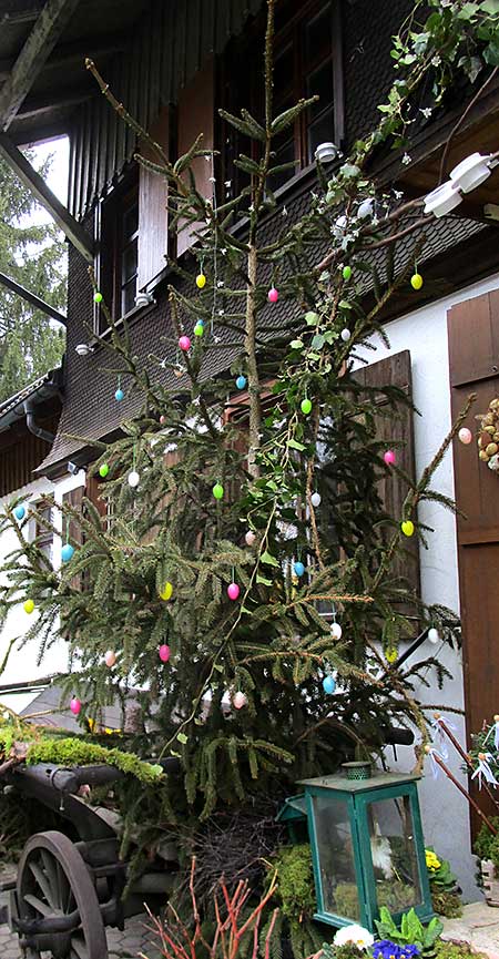 Weihnachtsbaum mit Ostereiern - sinnvolles Recycling im Allgäu (Heimenkrich)