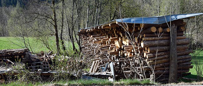 Bad Hindelang - viel Holz vor der Hütte - auf das Bild klicken um zu sehen wieviel es wirklich ist - seeeehr viel! 2019