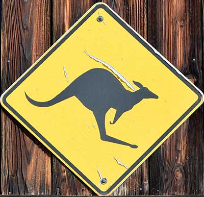 Warnung vor Kängurus in Bad Hindelang - 2019