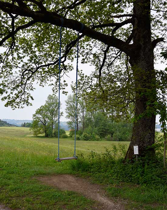 Die Waldschaukel in Ellhofen am Rand vom Ellhofer Tobel