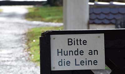 Dem Gebell auf dem Friedhof Wangen hat das Schild "Hunde an die Leine" absolute Berechtigung - 2019