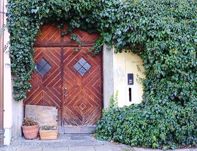 typische Architektenwohnung - wunderschön eingewachsen - Füssen 2019