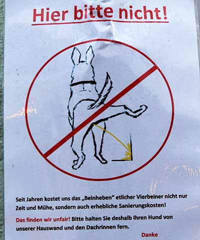 Urin (Hunde) ruiniert Hauswände und Dachribnnen - Füssen 2019