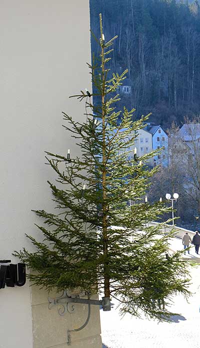 beleuchteter Weihnachtsbaum in Füssen - etwas ungewöhnliche Stelle