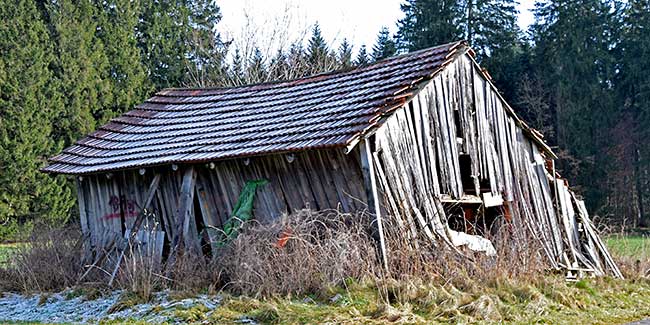 Winteropfer - zu schwer der Schnee - der Schuppen muss abgestützt werden - Gebratshofen 2019