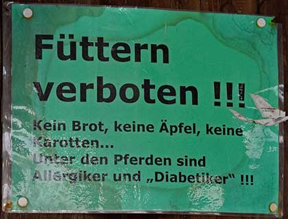 Füttern der Pferde verboten, Kein Brot, Keine Äpfel, Keinen Karotten.... Unter den Pferden sind Allergiker und Diabetiker!!!