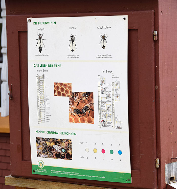 vor dem Heimatmuseum ein historischer Bienenstock in Zwirkenberg (Gestratz 2019)