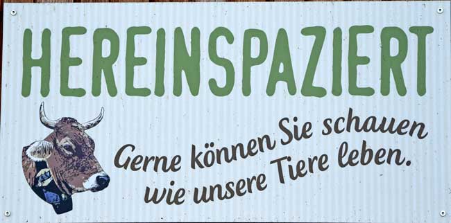 Bio Hof Kohler -freier Eintritt in die Ställe - Heimenkirch - Westallgäu