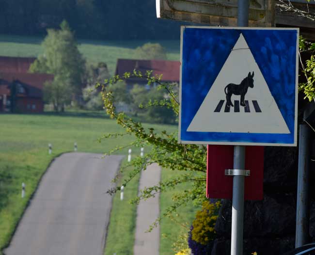 Verkehrszeichen "geschützter Fussgängerüberweg für Esel" Freinachtsscherz 2019 Heimenkirch Engenberg
