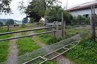 freilaufende Bio Hühner in Bodenhaltung in Heimenkirch - Hühnertunnel von der Seite