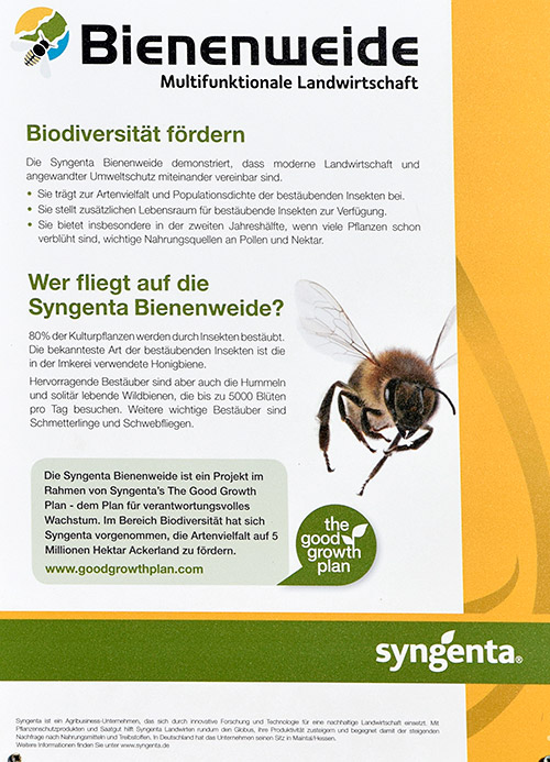 Bienenfreundlich - 2019 - Syngenta födert die Bienenweide - Bild klicken! 