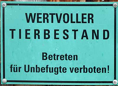 Heimenkirch Mothen - die Kühe werden mit Grander Wasser getränkt - 10% mehr Milch sofort