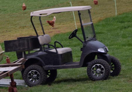 Golf Caddy ain Maria Thann - Dienstfahrzeug der Freilandhaltung der Hühner