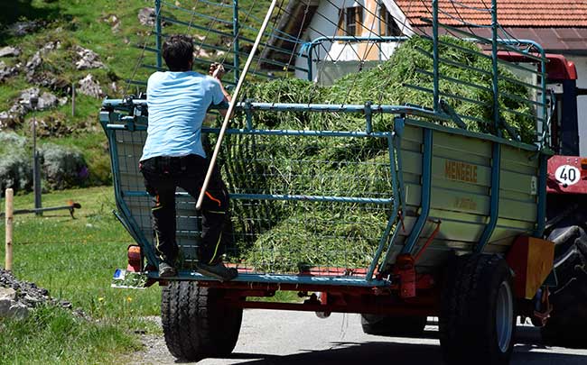 Mitfahrelegenheit bei der Ernte - Unterjoch 