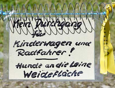 Erst später wird ersichtlich, warum nicht passierbar ist. Hunde an die Leine, grasende Kühe! Hörmoos Alpe 2019