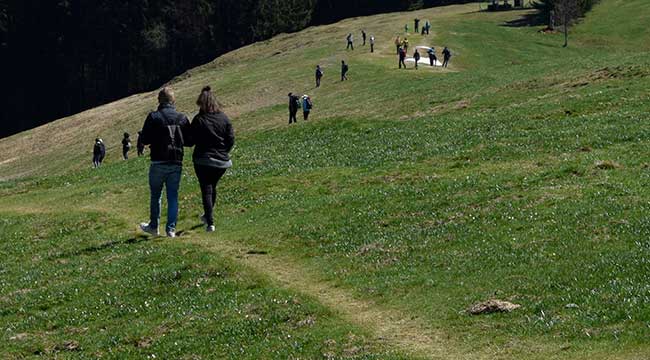 Hündle - zu viele Touristen zerstäören die Natur