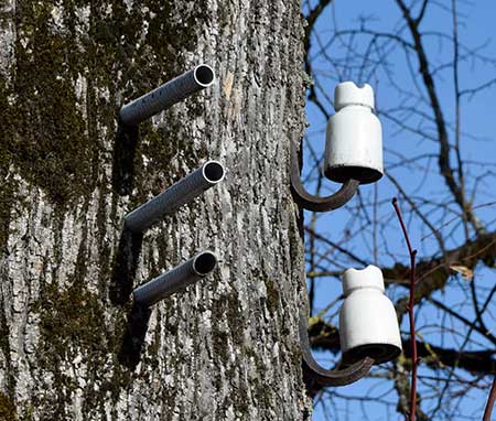 Am Neidhammel Brunnen Isny ist dieser ökologische Strommast zu finden 2019. Nach dem Verlegen von Erdkabeln wurden die Drähte überflüssig, die Isolatoren aber belassen.