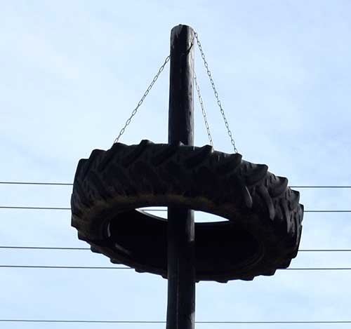 Der Bauholz Maibaum in Frankenhofen Mär 2019