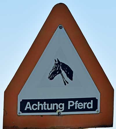 Pferdehof in Hafners - Ortsteil von Kißlegg 2019