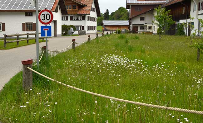 Kostengünstiger aber nicht fuchssicherer Gartenzaun in Freidorf (Oy Mittelberg)