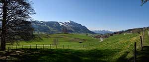 etwas oberhalb von Vorderburg gibt es einen tollen Blick auf den Grünten