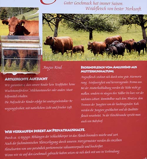 Achtung Mutterkühe! Herde Angusrind in Scheidegg - Biorindfleisch Berger's Biohof Scheidegg