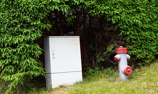 sorgfältig freigeschnittener Stellplatz für Hydrant und Telekommunikationskasten in Stiefenhofen 2019