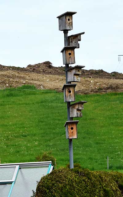 Vogel-Hoch-Haus mit 7 Etagen in Aleuthen (Sulzberg)