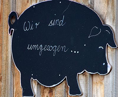 Wir sind umgezogen - Letten 2019 - gemeint sind die Schweine