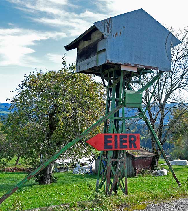 Materialbahn duerch eine Streuobstwiese - zugewachsen in Mähris (Waltenhofen)