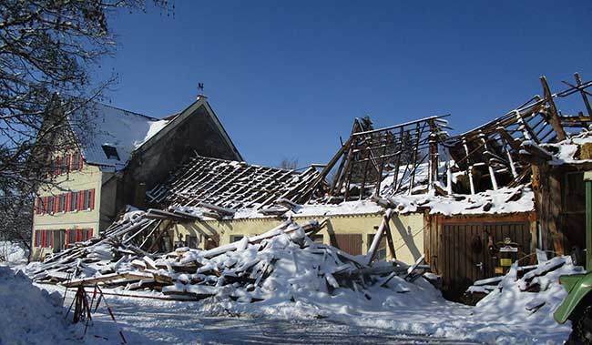 Wangen Schnee Januar 2019 - Unter der Schneelast zusammengebroche Tenne, die schon oft wesentlich mehr Schnee überstanden hat