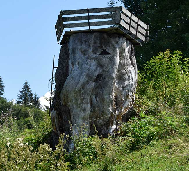 massiver Jägerstand mit 360° Rundumsicht bei Untertrogen (Weiler) 2019