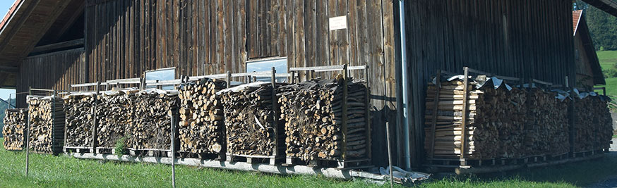 Viel Holz vor der Hütte in Oberegg 2019 (Wildpoldsried)