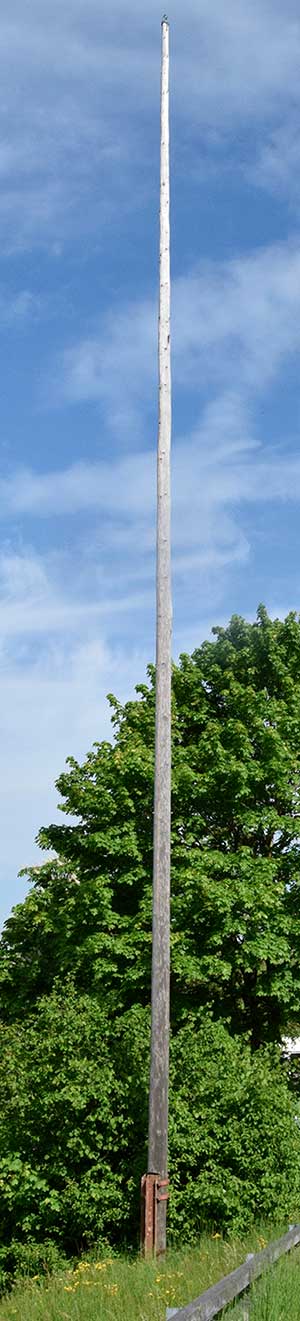 Nur Gemeindemitarbeiter durften Maibäume aufstellen, dann sieht der Baum so aus - Nackter Maibaum in Muthmannshofen (Altusried 2020)