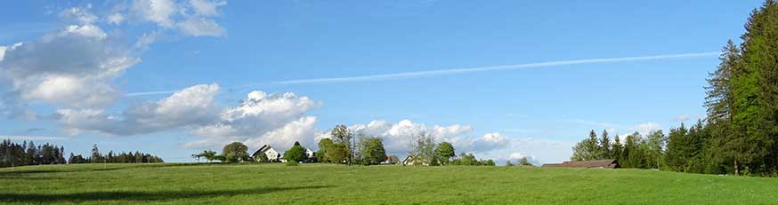 Ein Flugzeug am Himmel - man beachte die Wolken - so was hat man schon sehr lange nicht mehr gesehen. Natur Pur!