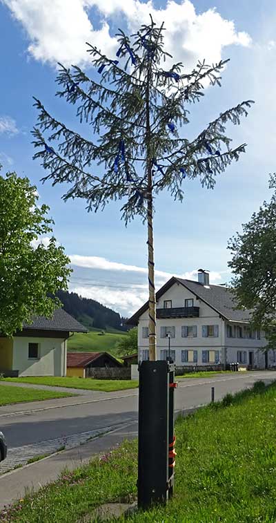 Privater Maibaum in Ebrathofen (Grünenbach) an stelle des offiziellen Maibaums 2020