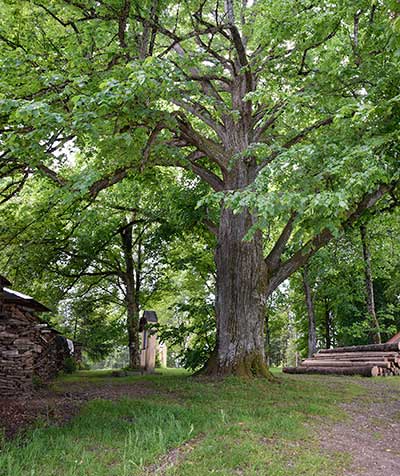 Gschnaidt - parkähnlicher Weg zu den beiden Kapellen