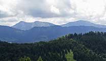 Panorama Alpenhauptkamm Allgäu - Blick von derHomepessen Alpe auf den Alpenhauptkamm im Oberallgäu und Westallgäu