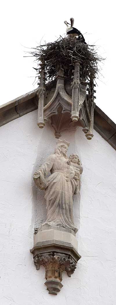 Mailand (bei Leutkirch) 2020 brüten Störche wieder auf der Kirche 