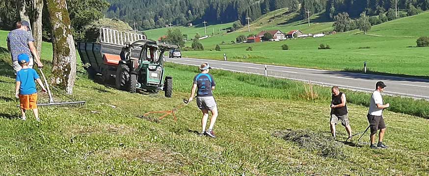 die gesamte Familie bei der händischen Heuernte in Salmas (Oberstaufen 2020)