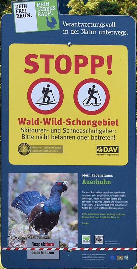 Wald Wild Schongebiet - Verboten für Skitouren- und Schneeschuhgeher - im Sommer erlaubt 